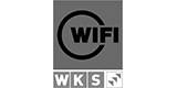 Logog Wifi WKS