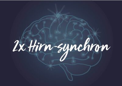 2x Hirn-synchron