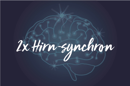 2x Hirn-synchron